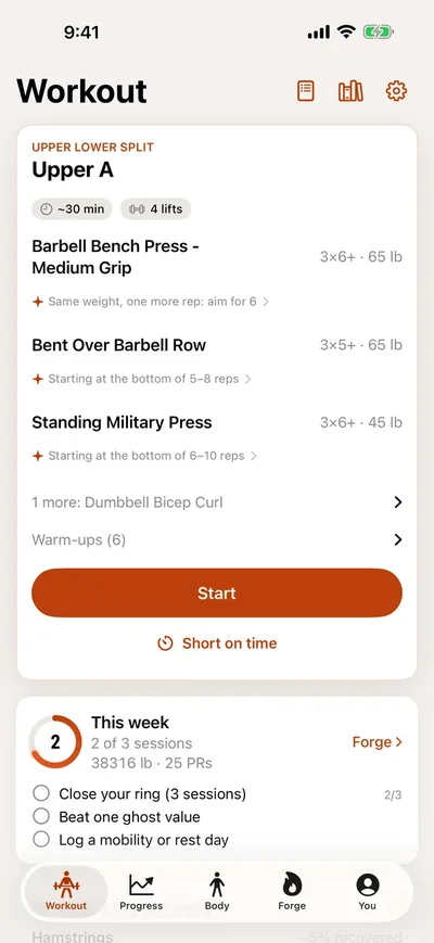 Anneal workout plan for an upper-body day